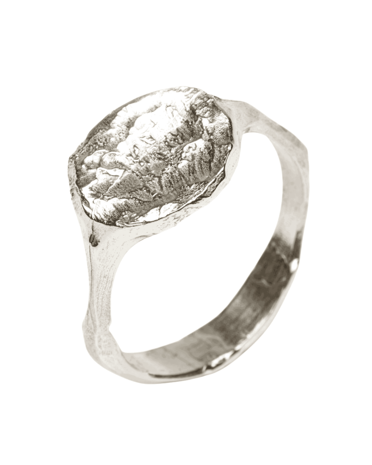 Parlee Ring Silver